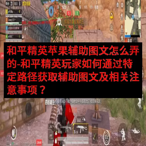 和平精英苹果辅助图文怎么弄的-和平精英玩家如何通过特定路径获