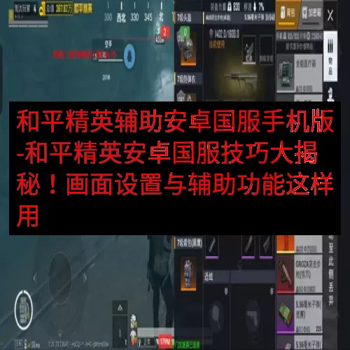 和平精英辅助安卓国服手机版-和平精英安卓国服技巧大揭秘！画面