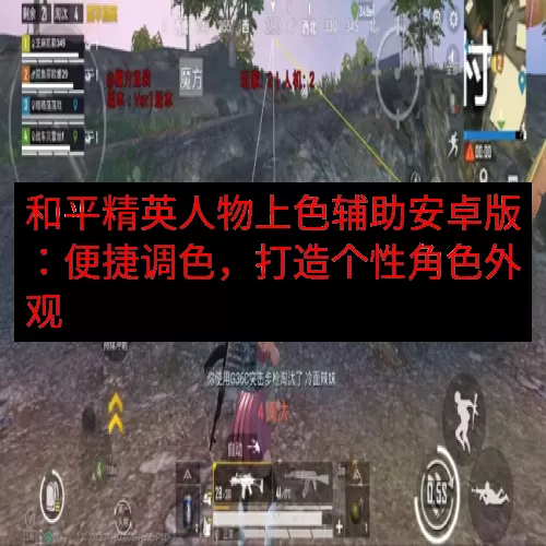 和平精英人物上色辅助安卓版：便捷调色，打造个性角色外观
