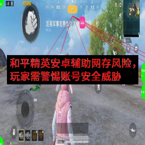 和平精英安卓辅助网存风险，玩家需警惕账号安全威胁